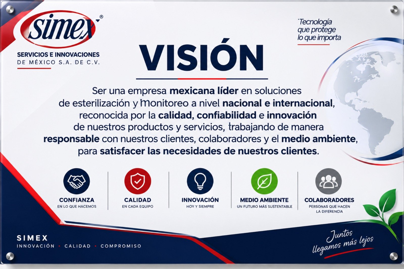 Visión de Servicios e Innovaciones de México